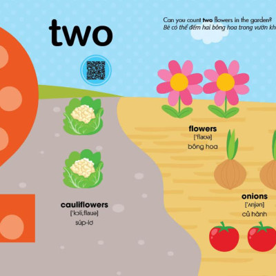 MY FIRST COUTING ADVENTURE - CUỘC PHIÊU LƯU VỚI SỐ ĐẾM