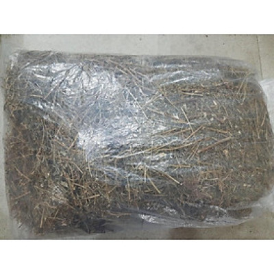 cây chó đẻ răng cưa phơi khô [Diệp Hạ Châu]