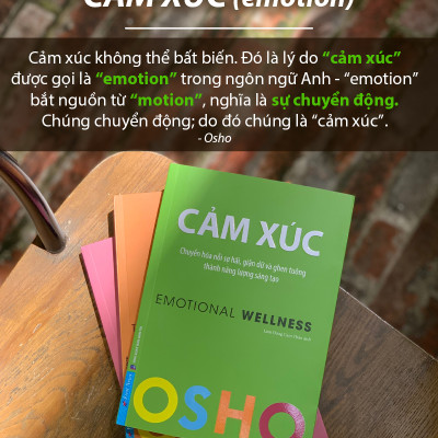 Combo 3 Cuốn OSHO : Yêu + Hiểu + Cảm Xúc