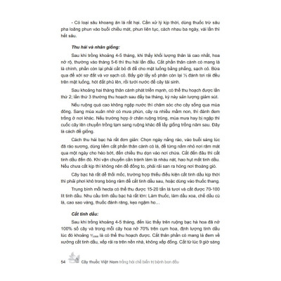 Sách - Cây thuốc V,iệt Nam trồng hái chế biến tr,ị bệnh ban đầu (bìa cứng) ( MT)