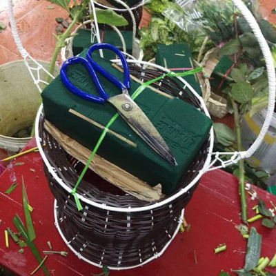 5 KG Bột Dưỡng Hoa Tươi Lâu Longlife SG ISRAEL