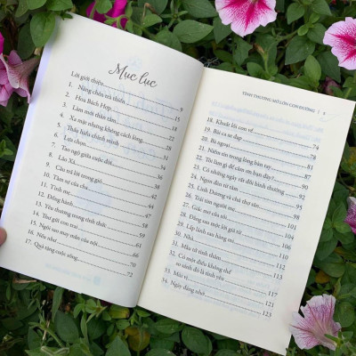 Sách - Tình Thương Mở Lớn Con Đường - Vĩnh Nghiêm Books