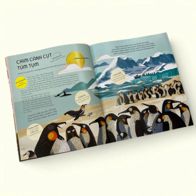 Sách - Teamwork Làm Việc Nhóm - Bài học từ Vương quốc động vật - Dành cho trẻ từ 3 tuổi