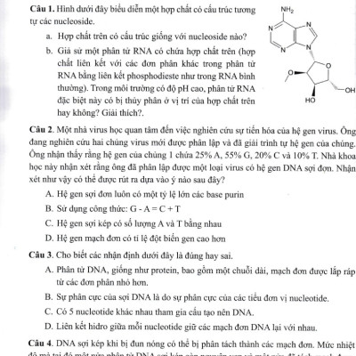 Di Truyền Học - Bài Tập Chuyên Đề_GDDT
