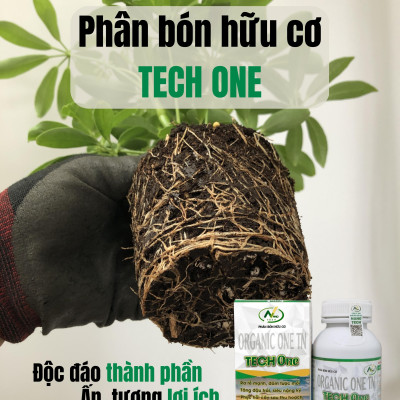 Phân bón hữu cơ Nano Organic One TN TECH ONE giúp kích rễ, đâm chồi, tăng ra hoa, đậu trái và tăng sức đề kháng cho cây