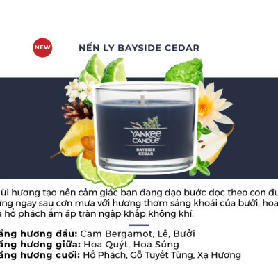 Nến ly mini Yankee Candle (37g) - Bayside Cedar