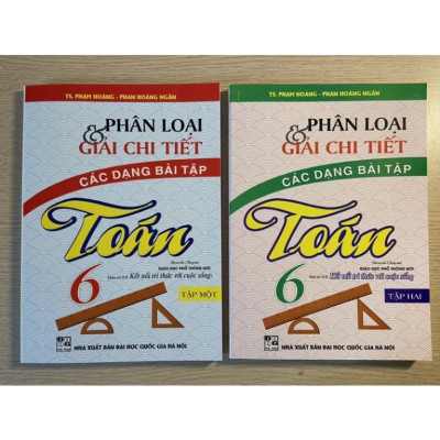 Sách - Phân loại và giải chi tiết các dạng bài tập Toán 6 tập 2