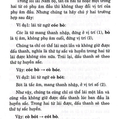 Sách - Nghệ Thuật Nói Lái Qua Ngôn Ngữ Dân Gian Nam Bộ (Tái Bản 2025)