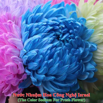 10 chai Nhuộm Hoa tươi dạng nước (Chai 1L x 10 Màu) Công Nghệ Israel giúp hoa nhuộm đổi màu theo ý muốn nhuộm trên 250 cành hoa x 1 chai