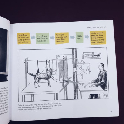 Tâm lý học Tất cả những điều cần biết để thông thạo bộ môn này -  Bản Quyền