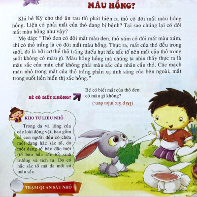 10 Vạn Câu Hỏi Vì Sao - Những Loài Và Vật Chạy Trên Mặt Đất