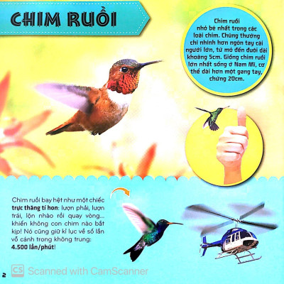 Sách - Bí Ẩn Thế Giới Loài Vật - Chim (Tái Bản 2025)