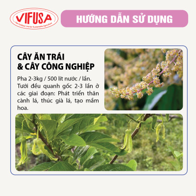 VIFUSA-P15 - Phân bón Lân hữu cơ can 20kg