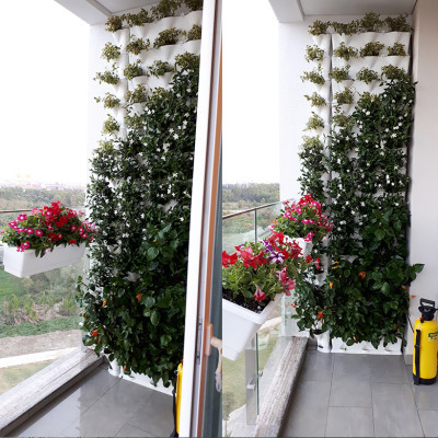 1m2 Module Trồng Cây Đứng Chung Cư Minigarden Vetical (8 Sets Module xếp chồng lên nhau), kèm Hệ Thống Tưới Nhỏ Giọt và tự bón phân bán tự động giúp cây trên tường đứng sống tốt, phát triển bền vững