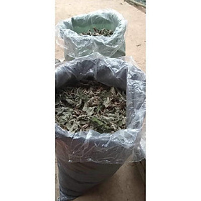 Cây Ngấy hương khô túi 1kg