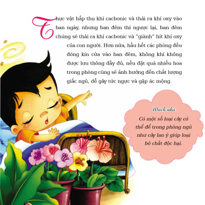 1001 Câu hỏi "Tại sao?" - Bách khoa cuộc sống