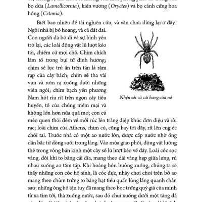 Combo 5 tập Côn trùng ký (1 - 5) - Ấn bản đầy đủ