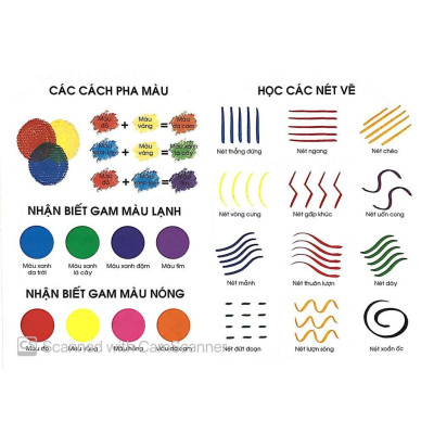 Sách - Bạn Nhỏ Ơi, Tô Màu Thật Là Dễ - Tập 9 - Tân Việt Books