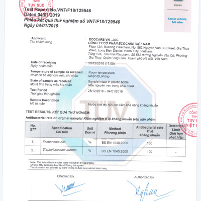 Nước rửa tay hữu cơ diệt khuẩn dạng bọt tinh dầu Quế 250ml thương hiệu Ecocare