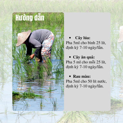 Phân bón hữu cơ Nano Organic One TN TECH ONE giúp kích rễ, đâm chồi, tăng ra hoa, đậu trái và tăng sức đề kháng cho cây