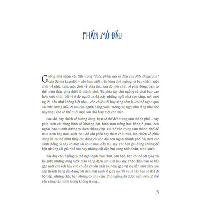 Cánh Đồng Hoa Cúc Ngưu Bàng