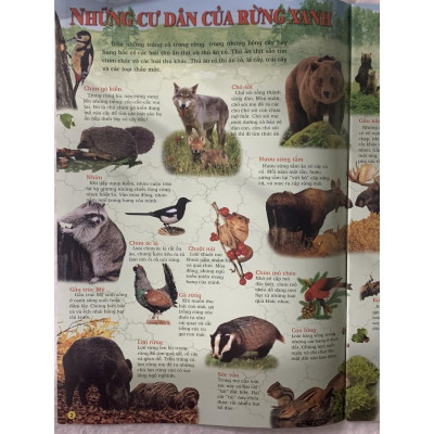 Sách - Quyển Tranh - Thế Giới Động Vật - Tân Việt Books