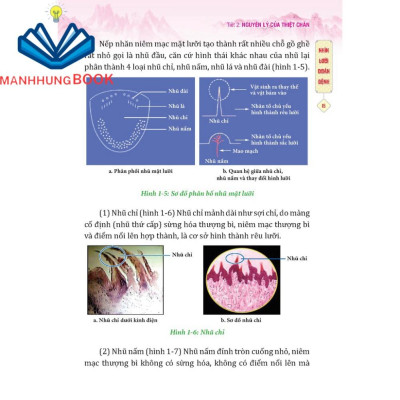 Sách - Đông y thiệt chuẩn (bìa mềm) - tái bản
