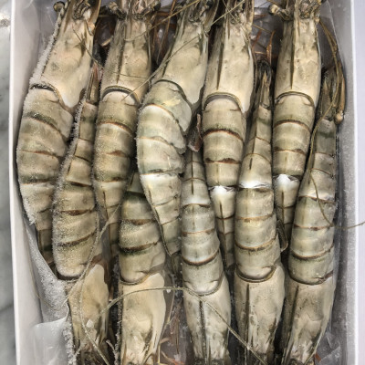 Tôm sú nguyên con sinh thái Seaprodex kích cỡ 10 con/hộp, 500gr