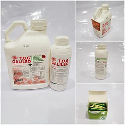 Dung dịch Bảo Quản Hoa Lâu tàn TOG Galileo Theo công nghệ của Israel (Can 5 Lít đậm đặt ) giúp xử lý hoa tươi lâu tại Nhà Vườn Trồng Hoa và Vựa Hoa