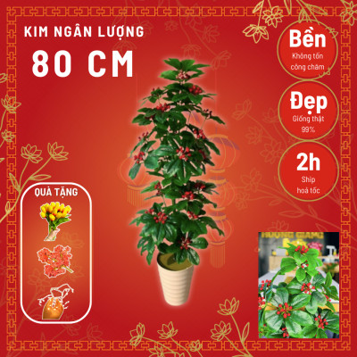 Cây kim ngân lượng giả - Size từ 70cm đến 160cm - Cây giả, hoa lụa Decor trang trí nhà cửa