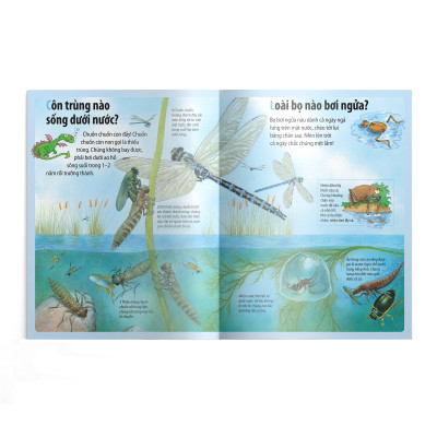  Em muốn biết vì sao (Bộ mới) - nhện giăng tơ và những câu hỏi khác về các loài côn trùng