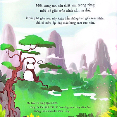 Sách - Gấu Trúc Mứt Cam