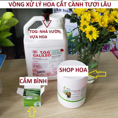 Bột cắm hoa cắt cành Longlife SG của Israel - Food For Cut Flower (Combo 3 hộp 1kg), giúp shop hoa bảo quản hoa tươi lâu và không thay nước, cắt tỉa gốc hay hạn chế thay hoa định kỳ theo tuần