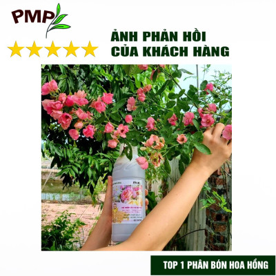 Phân Bón Hữu Cơ Combo đạm cá Hyfish & Phân đậu nành Soymic PMP cho Hoa Hồng