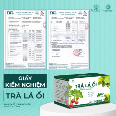 Giá Sỉ 5 hộp Trà Lá Ổi Mychi - giảm cân, Tiêu Mỡ, ngừa mỡ máu