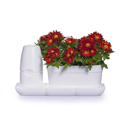 Bộ Chậu Trồng Cây Văn Phòng Thông Minh Tự Động Tưới Basic S Nhập Khẩu Châu Âu, Giúp Cây Phát Triển Tốt