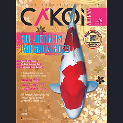 Cá Koi Vietnam - Tập 18