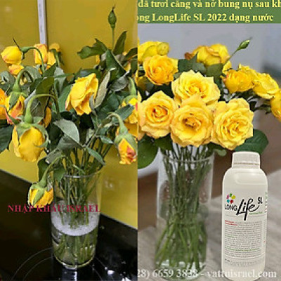 NƯỚC DƯỠNG HOA LÂU TÀN THẾ HỆ MỚI DÙNG CHO MỌI LOẠI HOA HIỆU LONGLIFE SL (CHAI 1L PHA 100L NƯỚC) NHẬP KHẨU GADOT ISRAEL