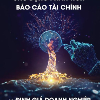 Ứng Dụng Phân Tích Báo Cáo Tài Chính Và Định Giá Doanh Nghiệp Trong Thực Tiễn