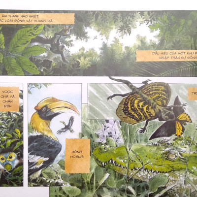 Chang Hoang Dã - Gấu (Tái Bản 2022) - Tặng Kèm Bookmark