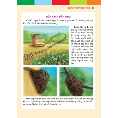 Sách - Những Con Vật Bé Nhỏ - Bìa Cứng - Minh Thắng