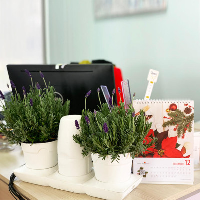 Chậu Để Bàn Thông Minh Tự Động Tưới và Tự động bón phân trong 2 tháng Minigarden Basic S Pots (1 bộ gồm 1 bình chứa nước, 2 chậu trồng và 3 túi dinh dưỡng). Phù hợp trồng cây trong gia đình, văn phòng với thiết kế gọn nhẹ, sang trọng và ít chăm sóc cây