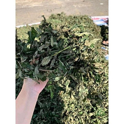 cây lá đắng phơi khô túi 1kg