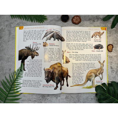 Sách - Bách khoa thư về thế giới động vật - Bìa cứng - Chính Thông Book
