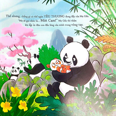 Sách - Gấu Trúc Mứt Cam