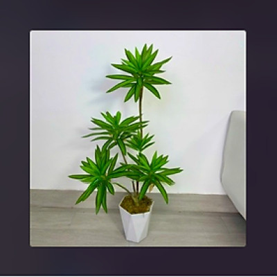 Bộ cây phát lộc giả 5 nhánh - Kích thước 80cm - Cây giả, hoa lụa Decor trang trí nhà cửa