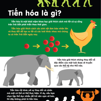 	Infographics - Bách Khoa Tri Thức Bằng Đồ Họa Cho Trẻ Em - Tiến Hóa _DTI