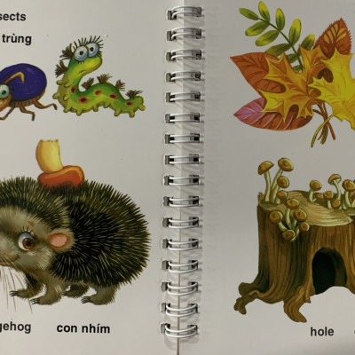 Học Tiếng Anh Theo Chủ Đề - Thế Giới Tự Nhiên