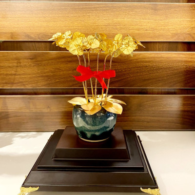 Chậu Hoa Lan 6 Nhánh Dát Vàng 24k MT Gold Art(30x23x17cm)- Hàng Chính Hãng- Quà tặng cao cấp, ý nghĩa tặng sếp, khách hàng, đối tác nhân dịp sinh nhật, khai trương, tân gia, kỷ niệm thành lập