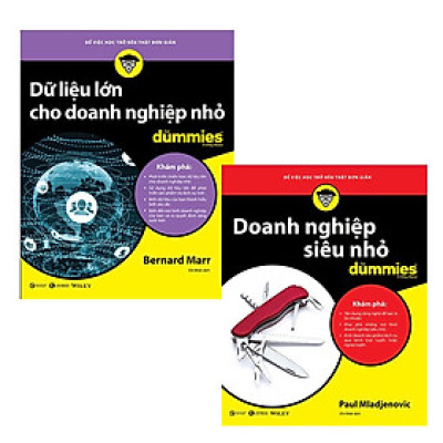Sách - Doanh Nghiệp Siêu Nhỏ For Dummies + Dữ Liệu Lớn Cho Doanh Nghiệp Nhỏ For Dummies - Thái Hà Books